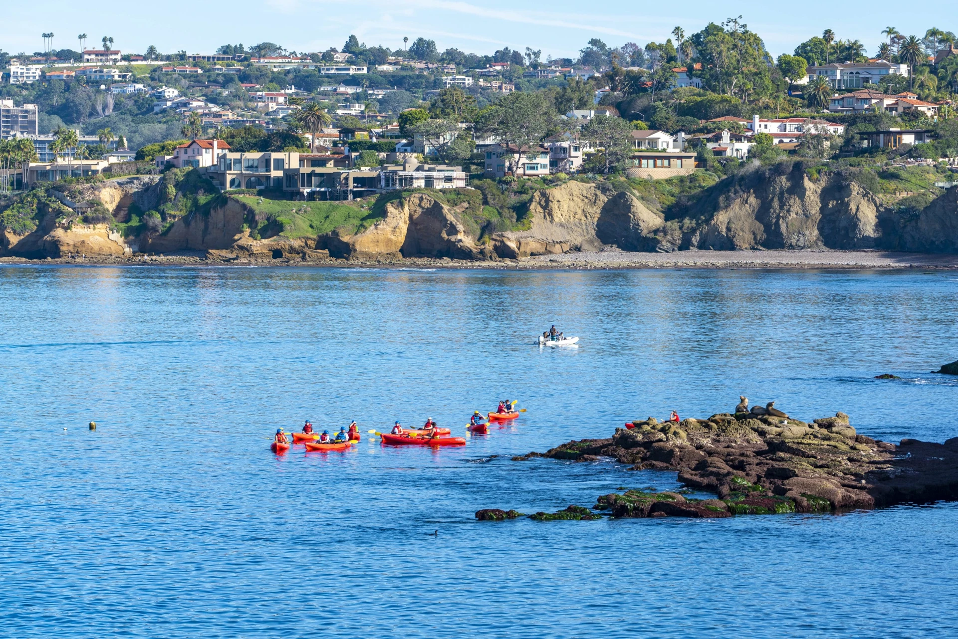 Kayaks in the water in front of La Jolla Cove.