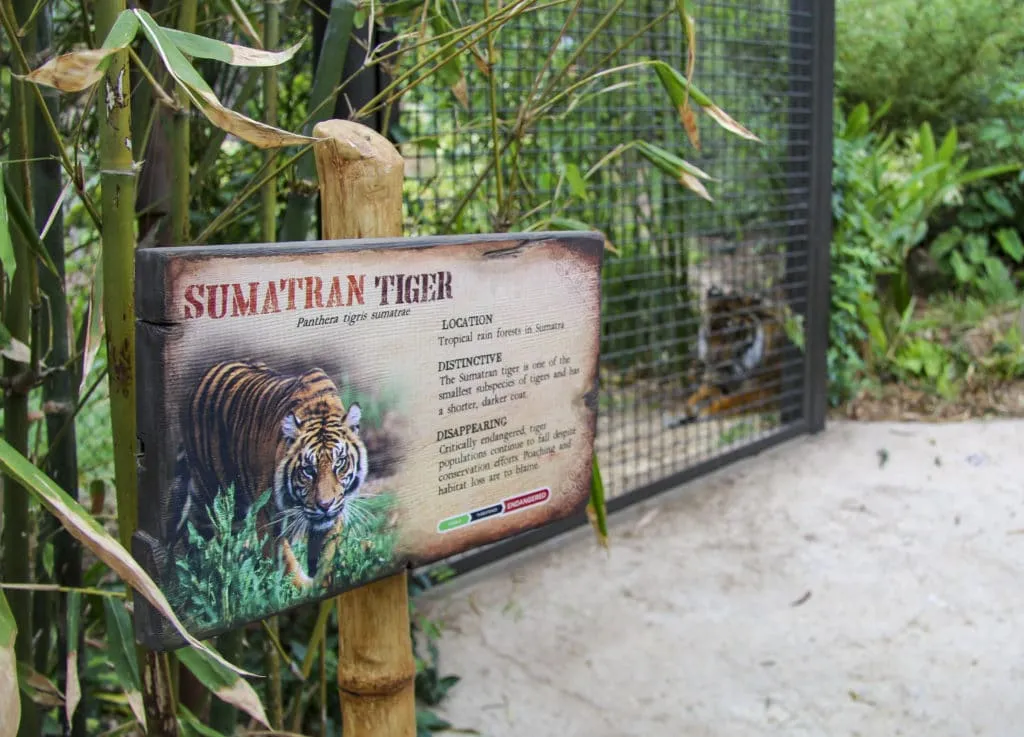 This image has an empty alt attribute; its file name is san-diego-zoo-safari-park-sumatran-tiger-sign-1024x737.jpg