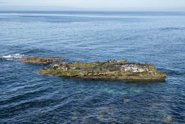 Pacific Ocean surrounds the birds and seals resting on Seal Rock in La Jolla.