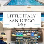 My picks for best Little Italy, San Diego hotels are boutique and extended stay options that put you near the city's best dining, shopping and attractions.