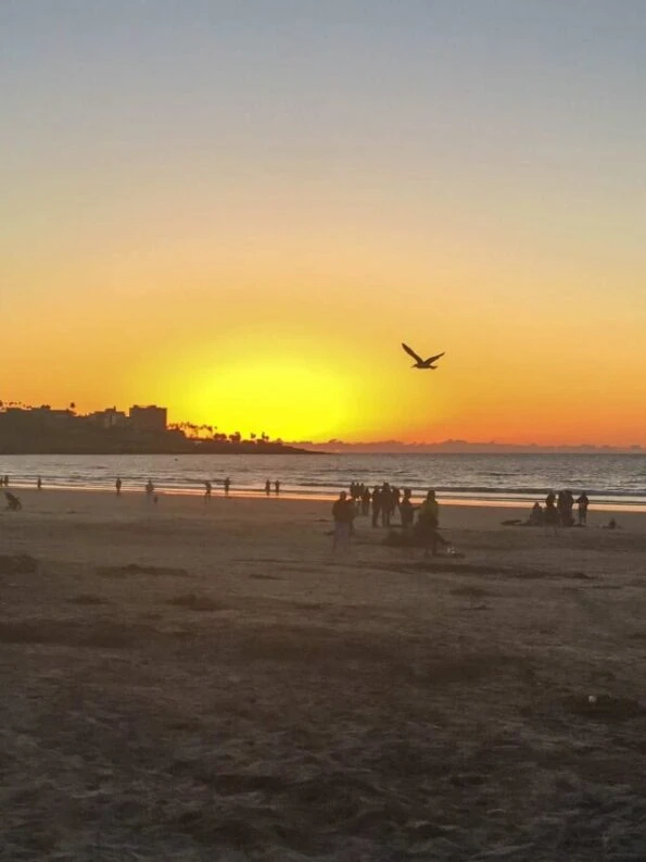 cropped-la-jolla-shores-beach-sunset.jpg