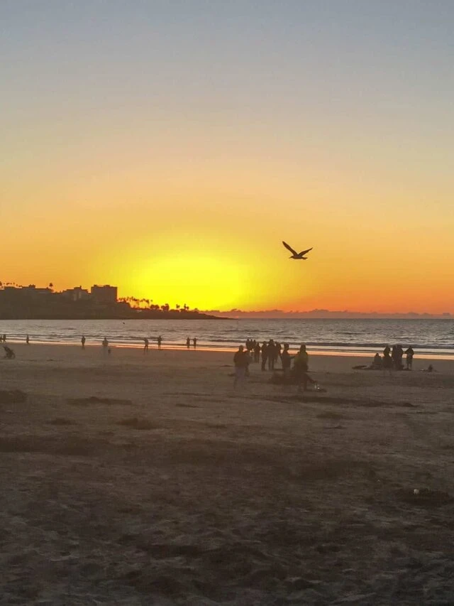 cropped-la-jolla-shores-beach-sunset.jpg