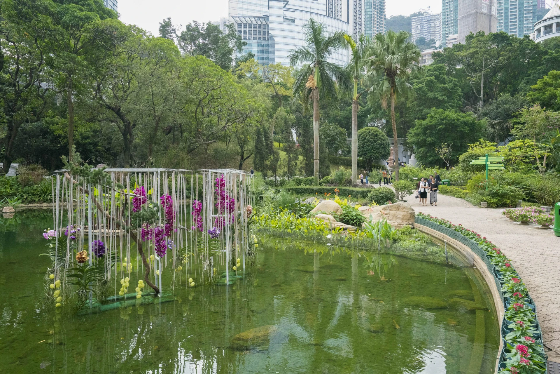 Orchids display in the Hong Kong Park lake.