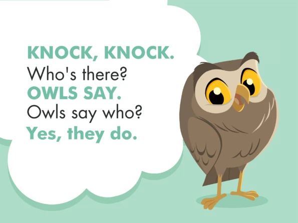 A cartoon owl next to a knock knock joke.