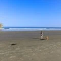 My daughter walks our dog on La Jolla Shores Beach, one of the best La Jolla beaches for kids.