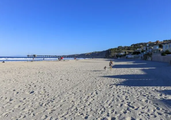 A morning dog walk on La Jolla Shores Beach.