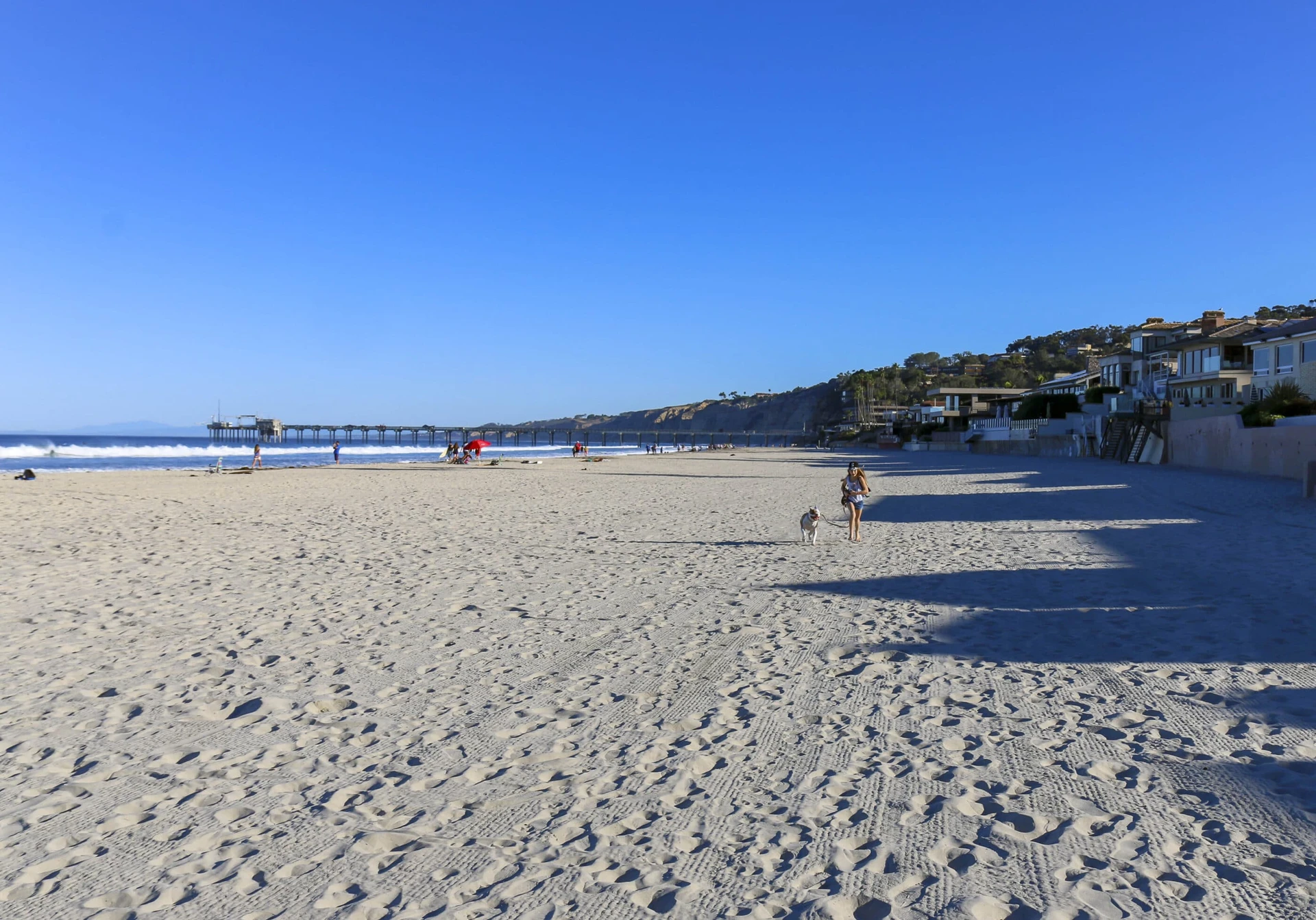 A morning dog walk on La Jolla Shores Beach.