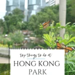 Find the best things to do in Hong Kong Park from a mom who has spent a lot of time in this HK park running, turtle watching, and enjoying the facilities.