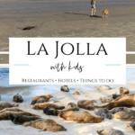 Find the best things to do in La Jolla with kids including restaurants, attractions, beaches, hotels and more written by a La Jolla mom.