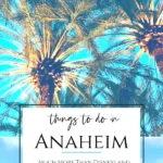 The best things to do in Anaheim, California include Disneyland but so much more from breweries to baseball games to beach or island day trips.