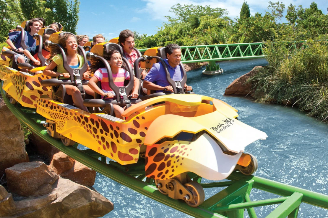 Families ride a Busch Gardens Tampa roller coaster.