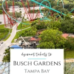 Learn how to buy discount Busch Gardens Tampa tickets so that you can save money on visiting this and other SeaWorld Parks with the cheapest deals.