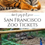 It's easy to buy discount San Francisco Zoo tickets to save money on your visit to this popular San Francisco attraction. Here's how.