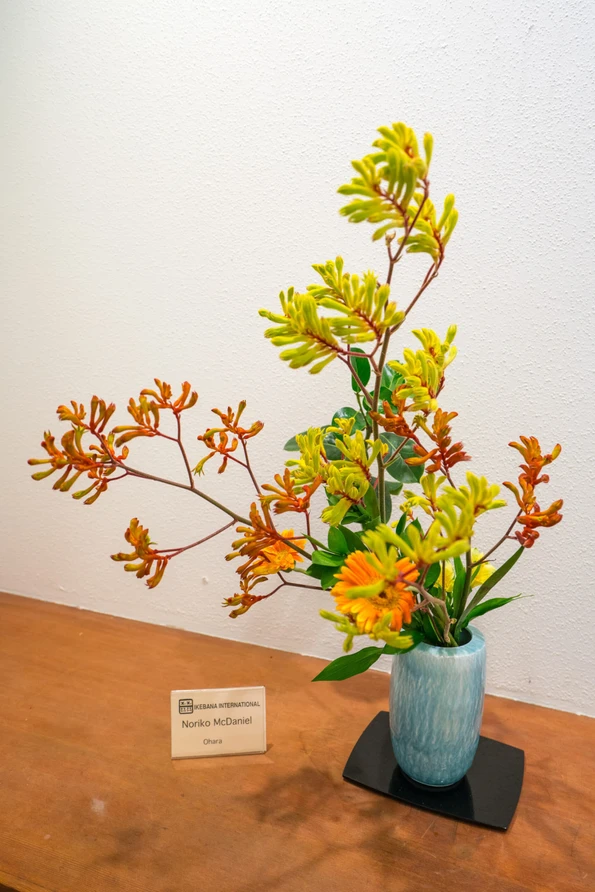 An Ikebana arrangement with kangaroo paw and a Gerbera daisy inside the Exhibit Hall at Japanese Friendship Garden San Diego.