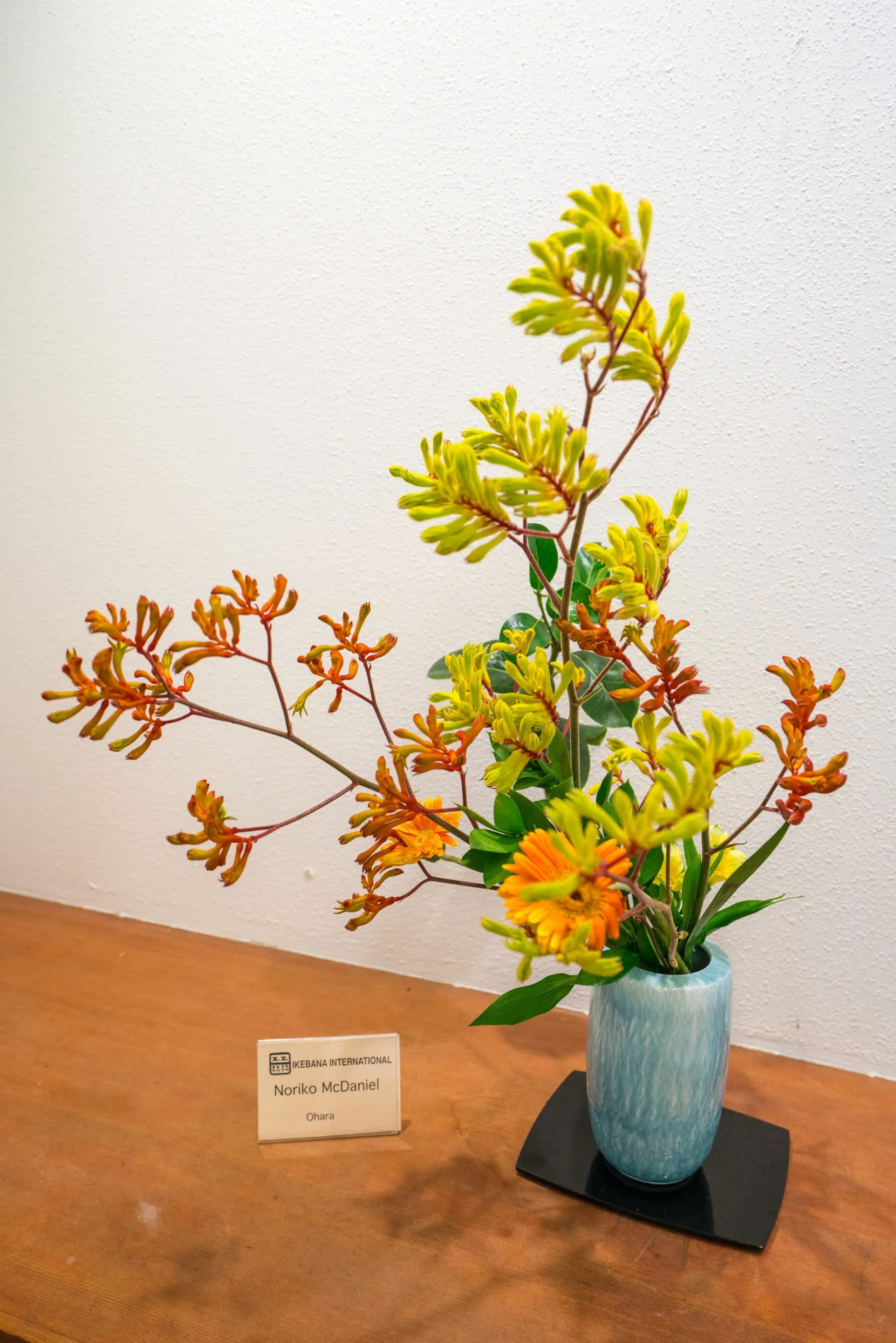 An Ikebana arrangement with kangaroo paw and a Gerbera daisy inside the Exhibit Hall at Japanese Friendship Garden San Diego.