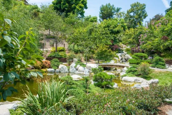 japanese-friendship-garden-balboa-park-4