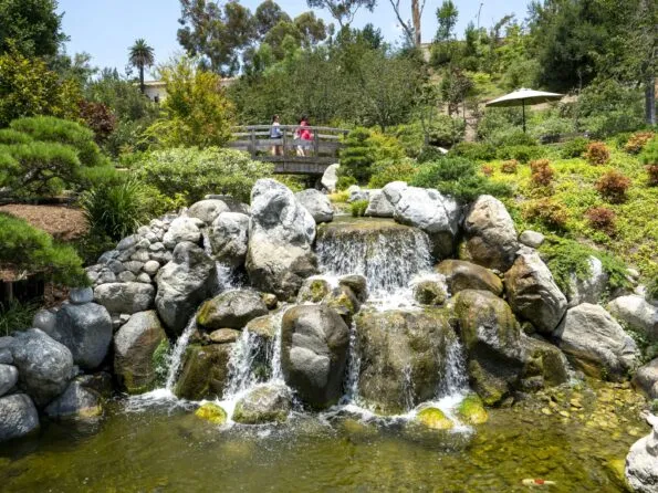 Guests walk across the Maple Bridge at the Japanese Friendship Garden San Diego.