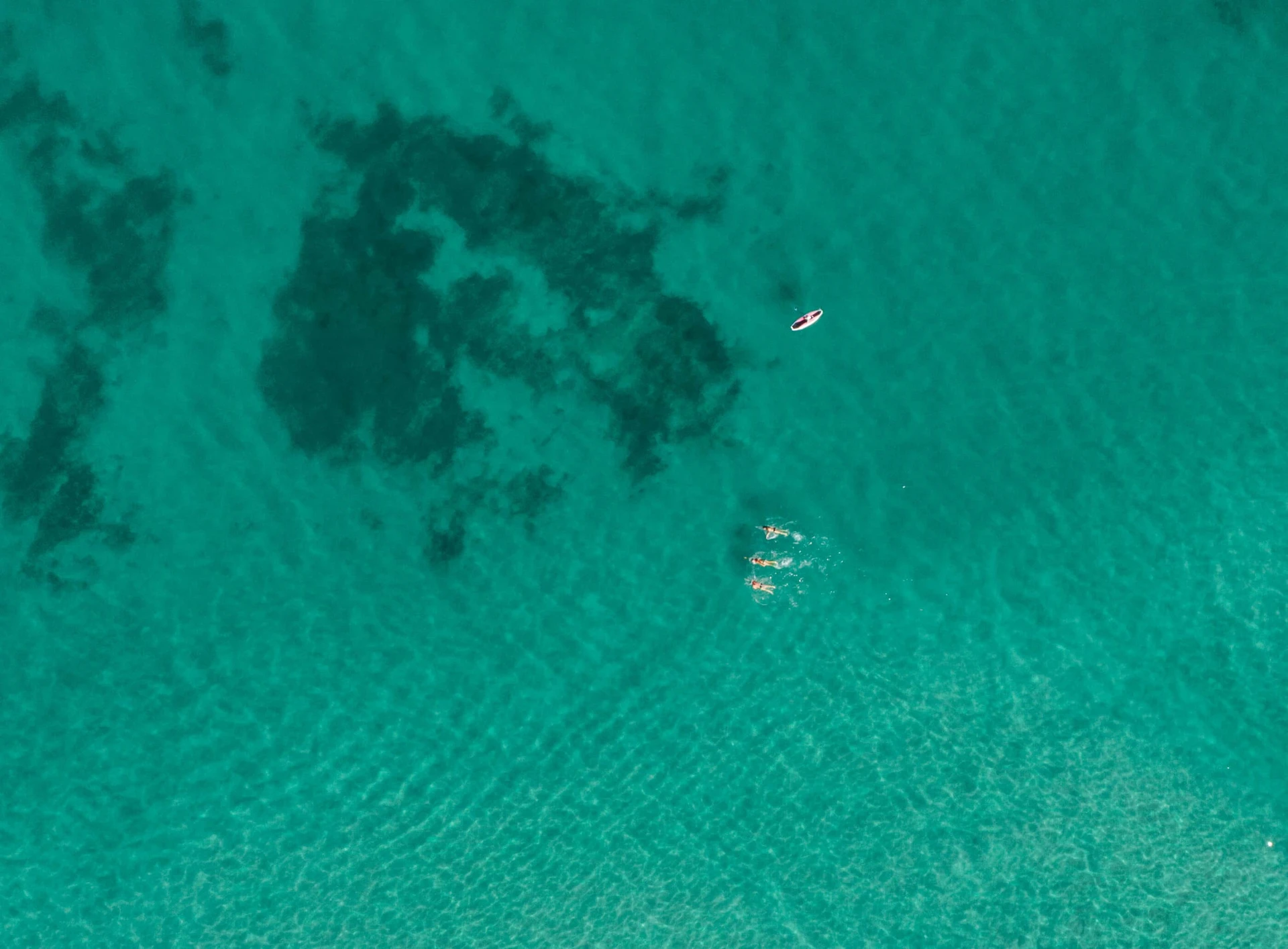 Surfers paddle out over clear La Jolla water.