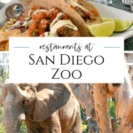 What to know about San Diego Zoo restaurants and food policies from fine dining to quick bites and favorite desserts.