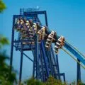 SeaWorld San Antonio Great White Roller Coaster