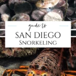 Your guide to San Diego snorkeling including tips from experts at Everyday California who spend their days leading snorkeling in La Jolla tours.