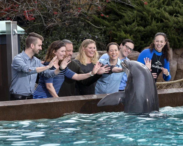 Guests come face-to-face with a dolphin at SeaWorld San Diego
