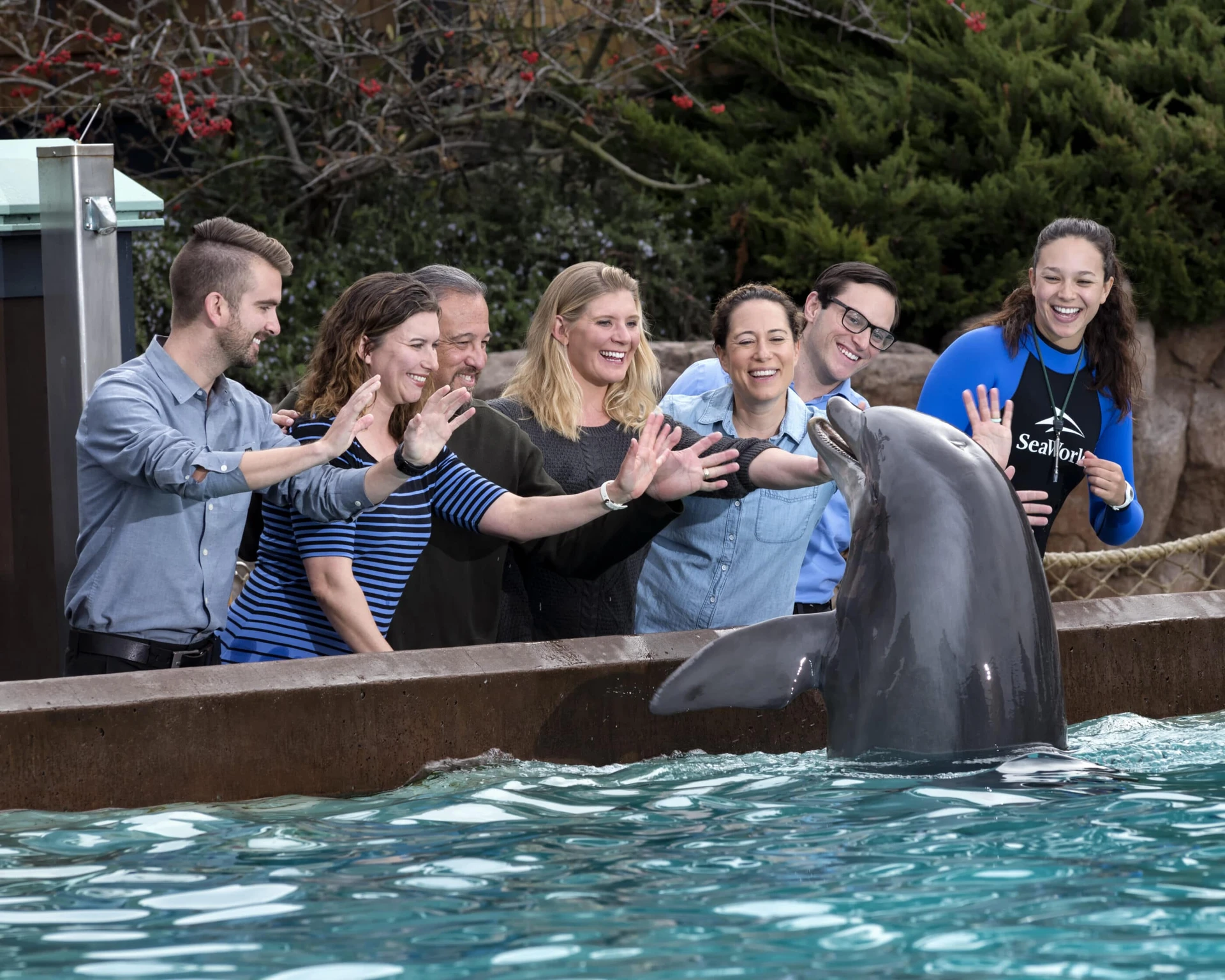A dolphin greets waving guests at SeaWorld San Diego.