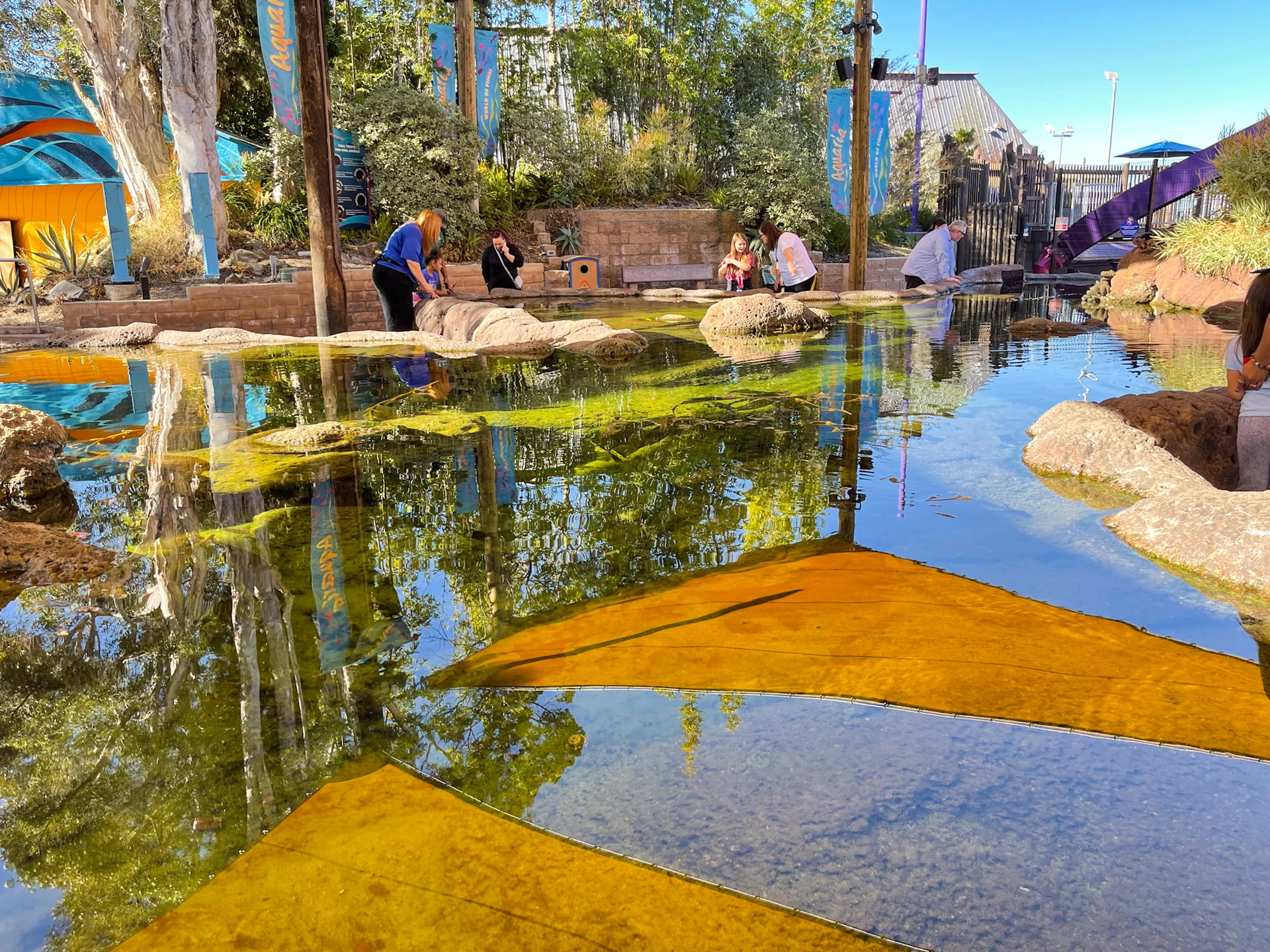 A person explores the tide pools at SeaWorld San Diego