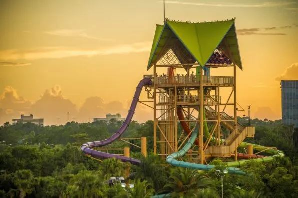 Riders on a tall tower choose which water slide to ride down at Aquatica Orlando.