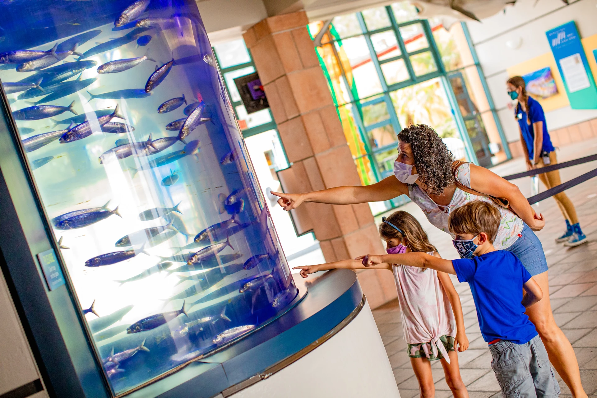 A family wearing face masks looks at the fish tank in the Birch Aquarium lobby.