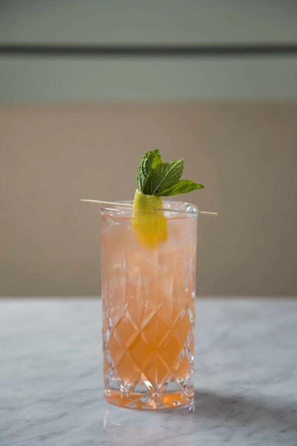 A cocktail with a garnish.