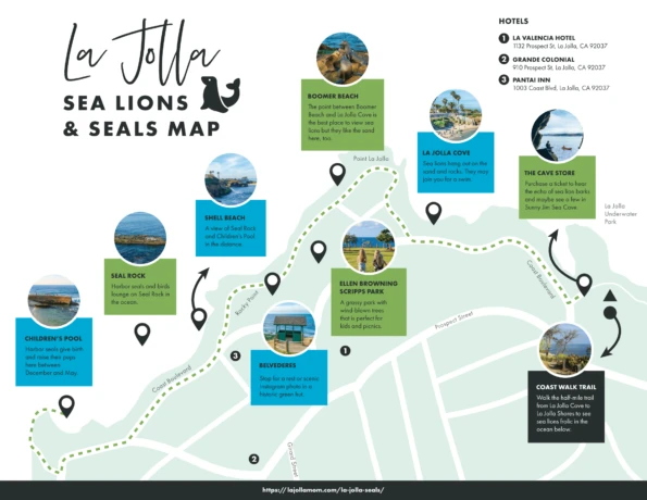 A map that shows where to see La Jolla seals and sea lions along the coast.
