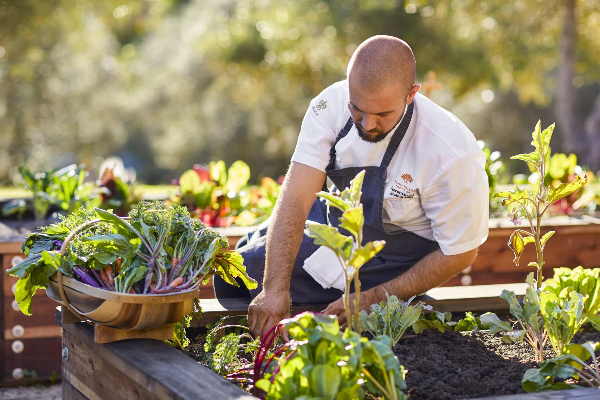 Chef Joshua at sorts vegetables in the garden at Rancho Valencia.