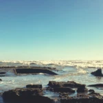 Learn the history, location, tips for visiting and fun facts about the SS Monte Carlo ship, the Coronado shipweck that appears at low tides.