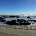 SS Monte Carlo Coronado shipwreck revealed on the beach during low tides.