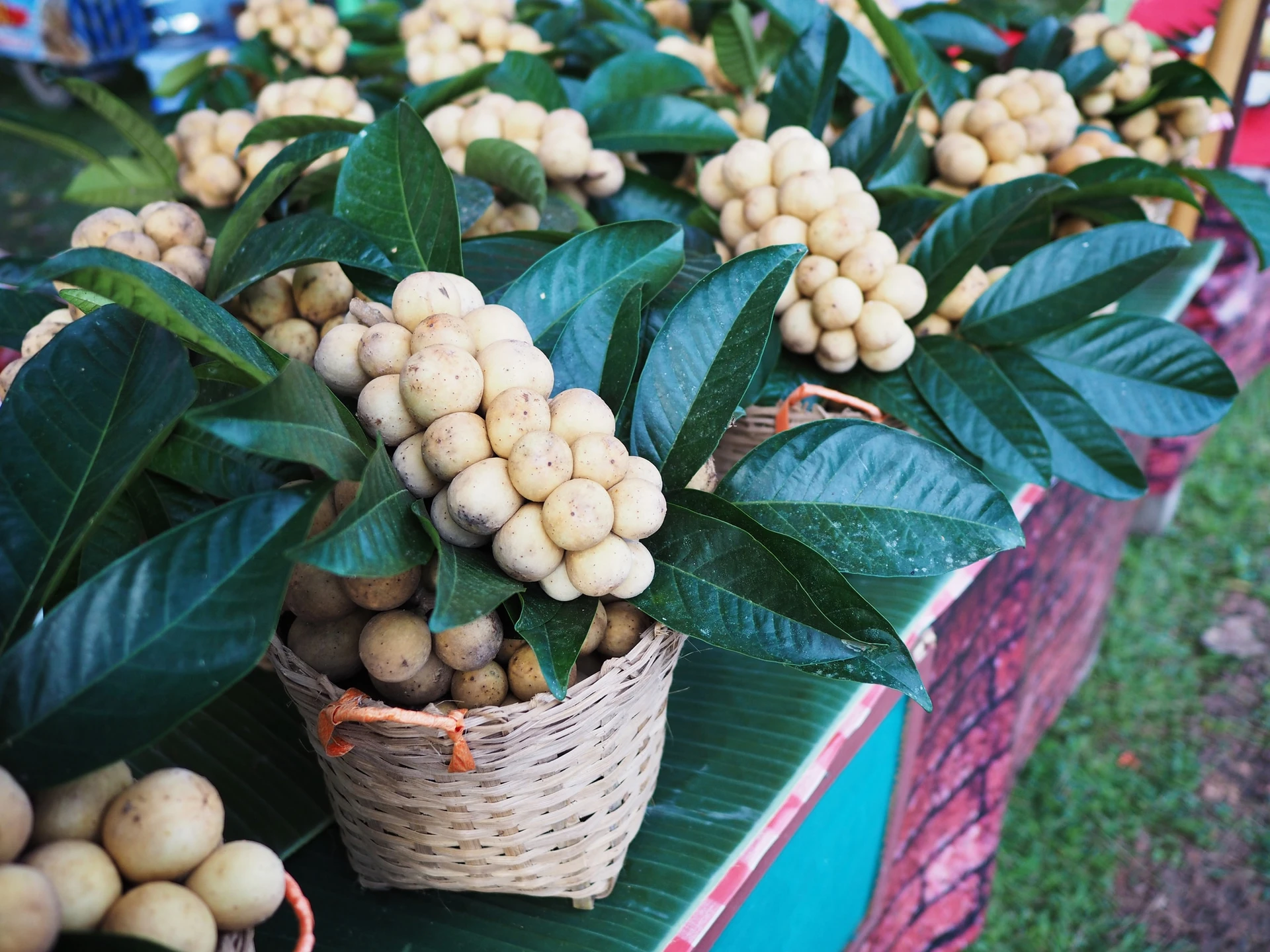 Langsat fruit and leaves piled up in baskets ready for sale at a market.