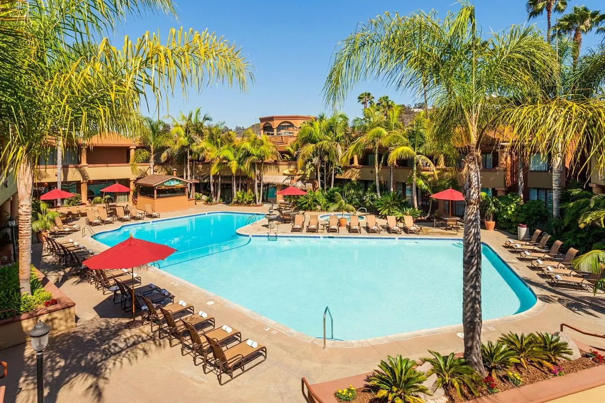 Outdoor swimming pool surrounded by lounge chairs and palm trees.
