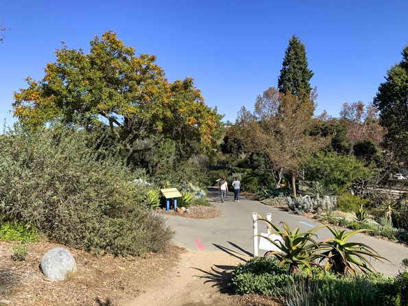 People walk along a paved path at San Diego Botanic Garden under blue skies and sunshine in December.