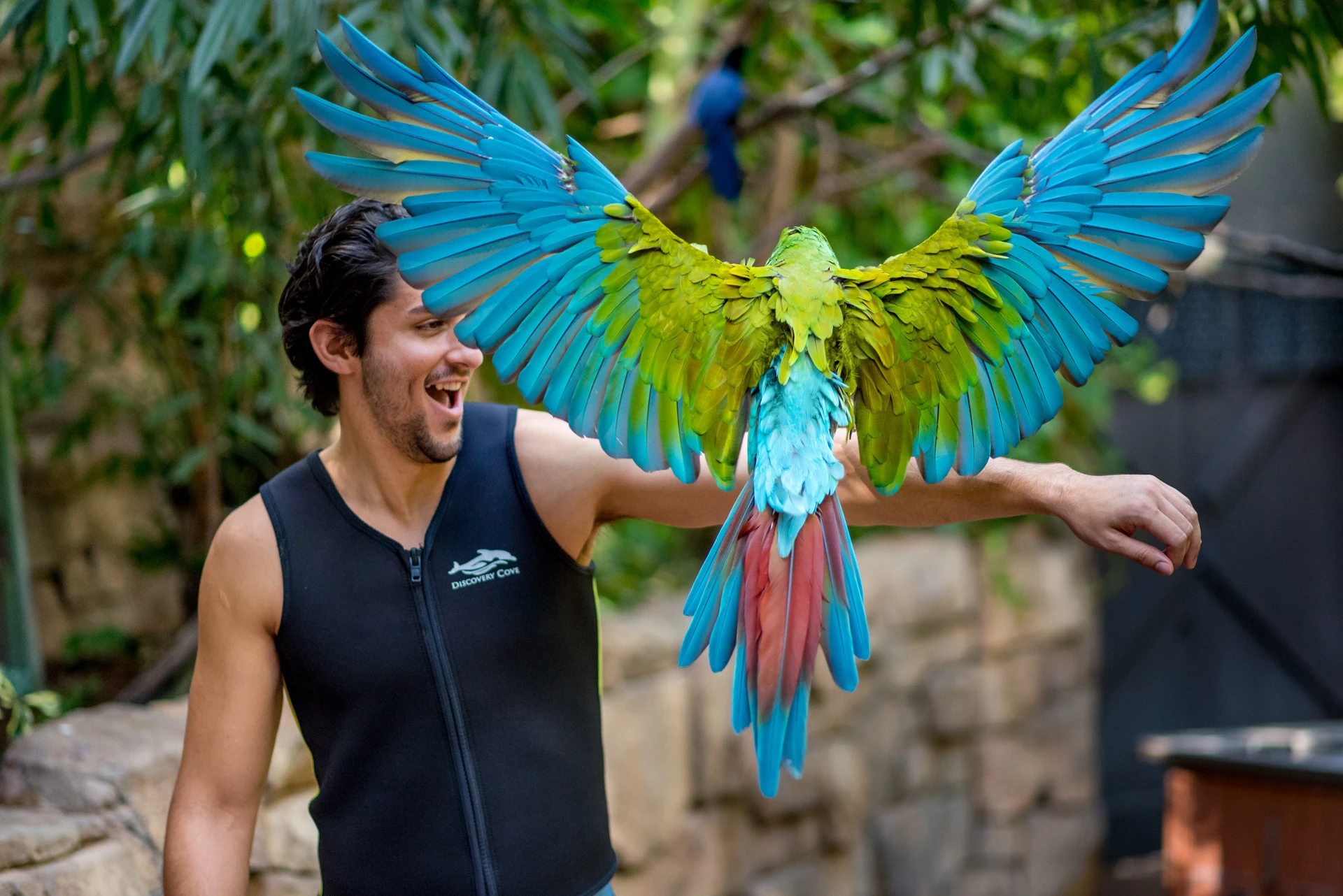 A parrot flies onto a guest's arm in the Aviary.