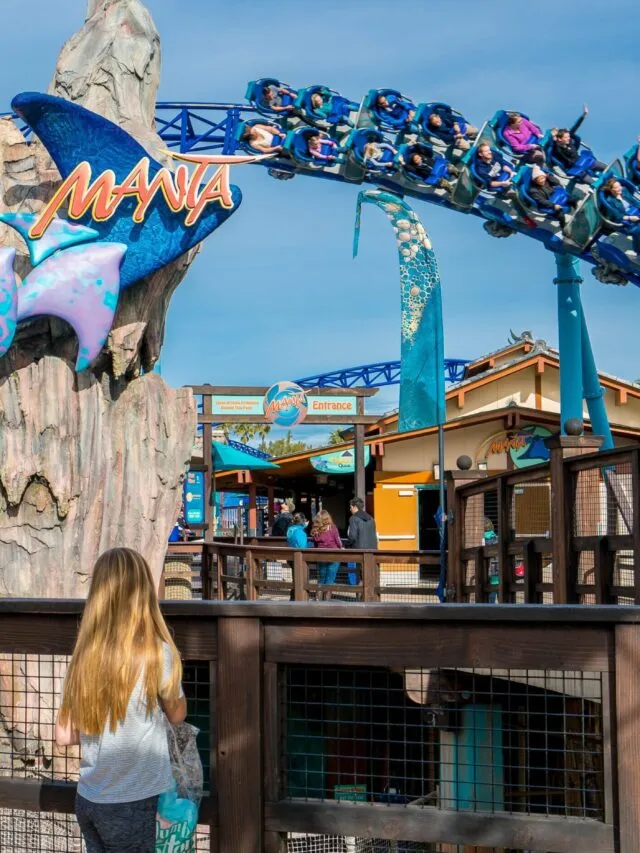 SeaWorld San Diego Manta roller coaster