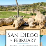 What San Diego in February is like. I live here and share tips for the weather, holiday events, what to pack, things to do, and hotels.
