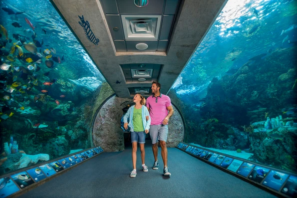Father and daughter enjoy the big tank at the Shark Lagoon at Aquarium of the Pacific.