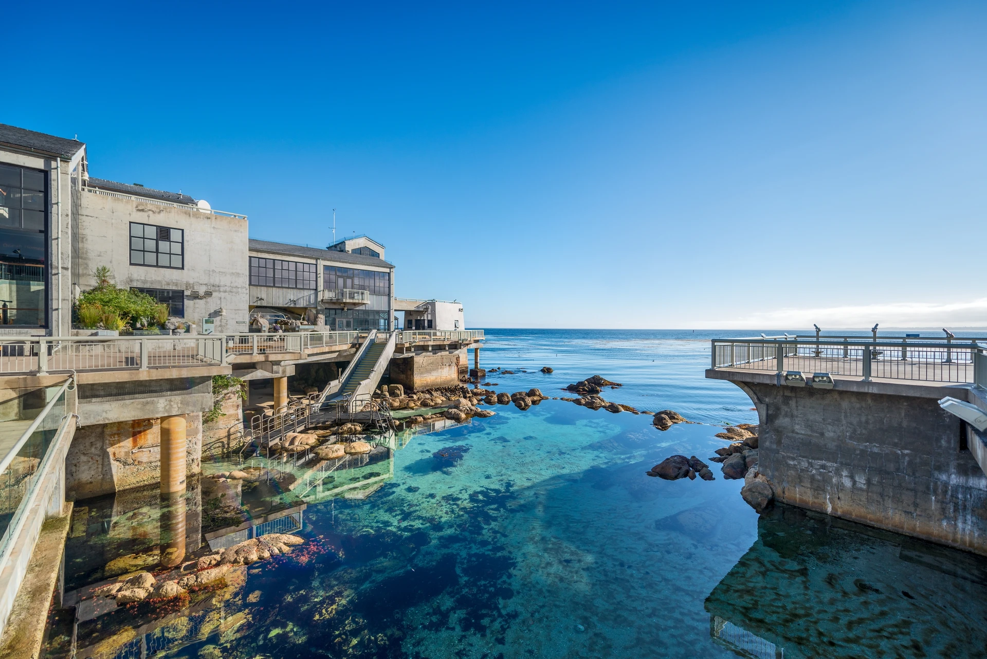 Scenic shot of the Great Tide Pool and exterior back deck of the Monterey Bay Aquarium.