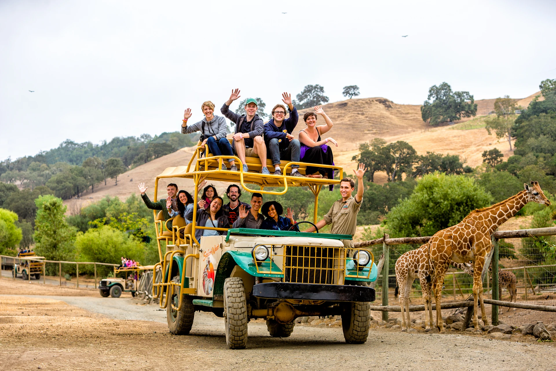 A group rides in a safari Jeep at Safari West.