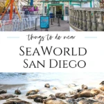 The best things to do near SeaWorld San Diego include picnic spots, playgrounds, water sports, beach activities, and more animal encounters.
