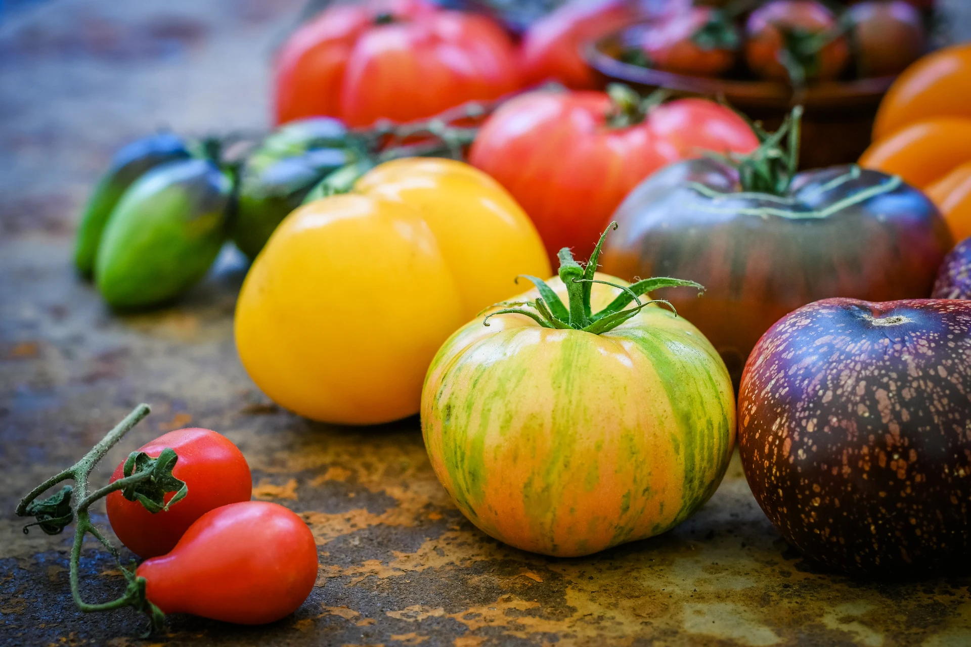 Colorful heirloom tomatoes on a table.