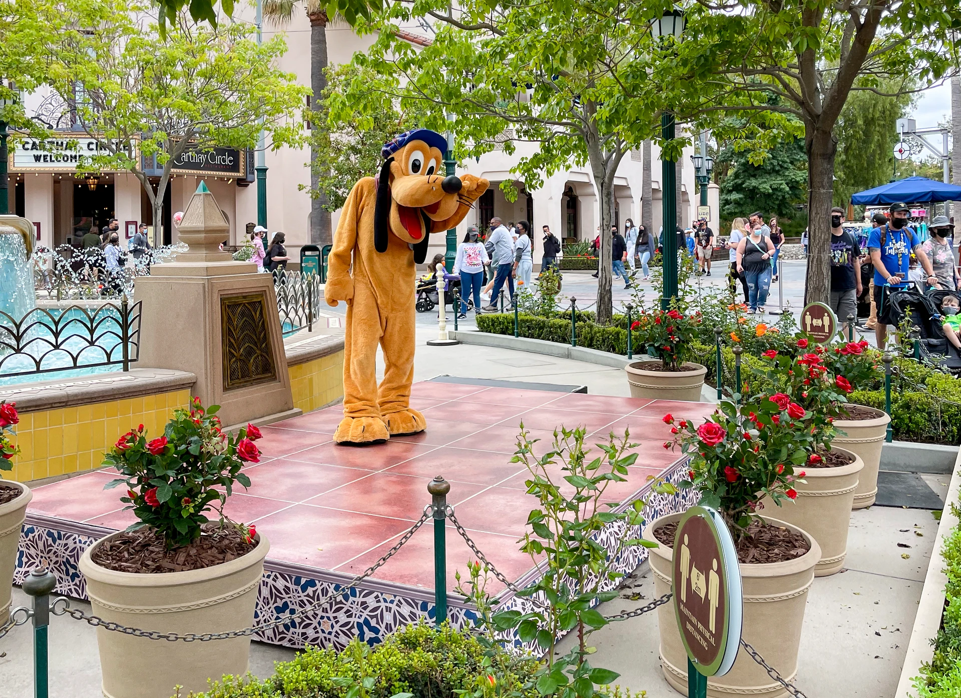 Goofy greets guests from a distance at Disney California Adventure park.