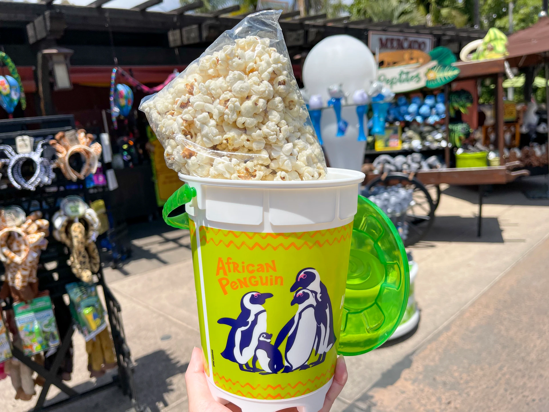Kettle corn at San Diego Zoo