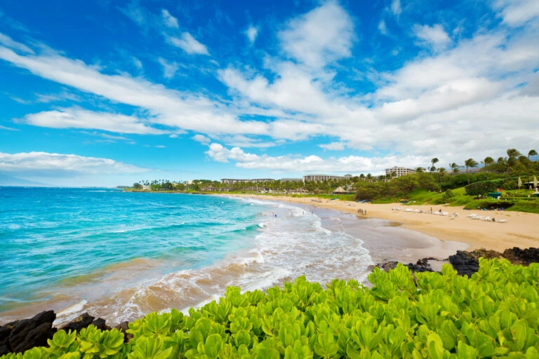 The best things to do in Wailea, Maui range from free beaches to fun tours. Here are my top picks for your vacation or day trip!