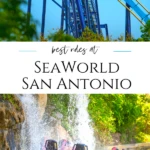 From roller coasters to water rides, learn which best SeaWorld San Antonio rides you need to add to your itinerary at this popular Texas theme park.